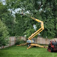 Best Emergency Tree Removal  in La Selva Beach, CA